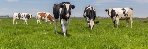 La arquitectura edge-to-satellite redefine el agro y la logística en Brasil